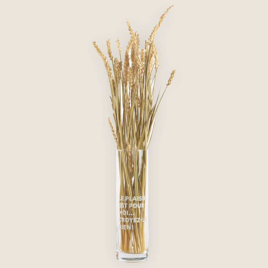 Citation vase comedie francaise le plaisir est pour moi croyez le bien
