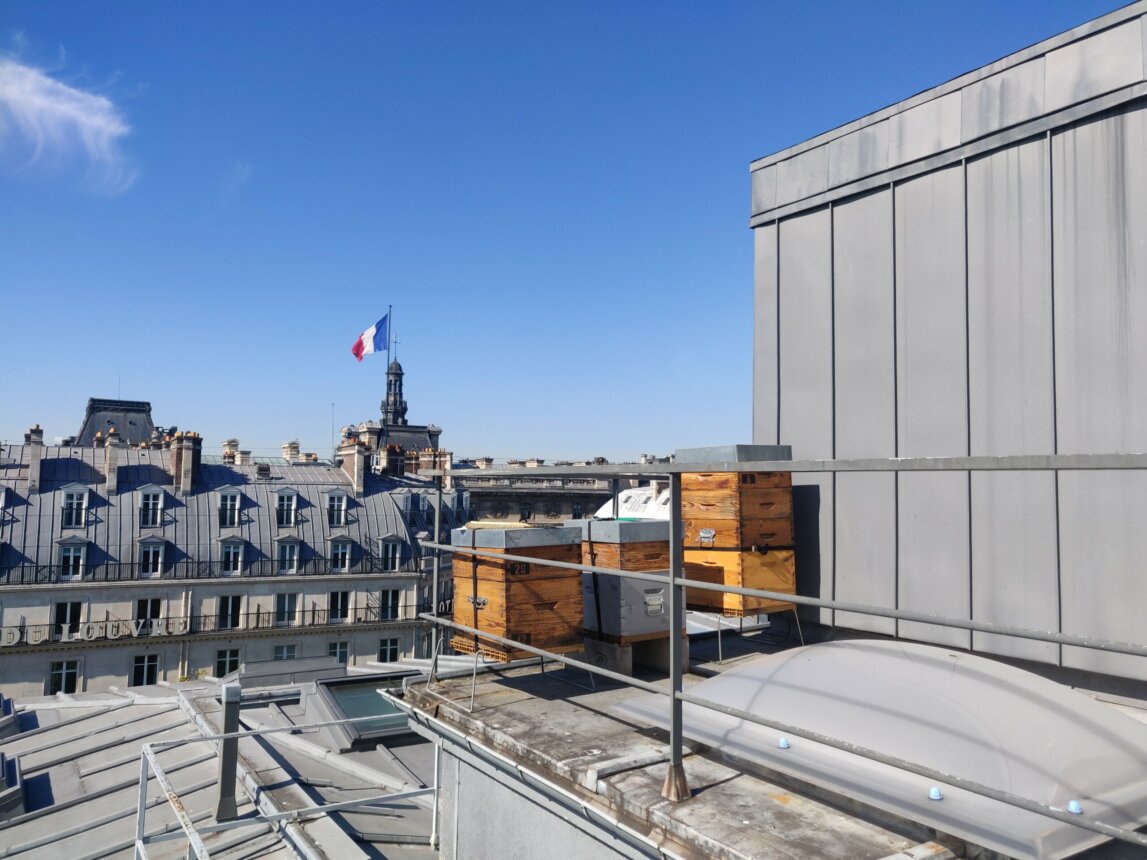 Miel Comedie Francaise ruche paris embleme de la comedie francaise