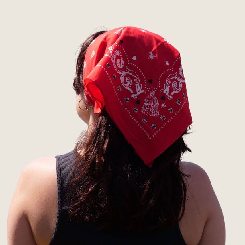 2photosbandanas